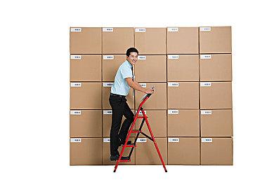 Bungie解释《命运2》不支持Steam Deck原因